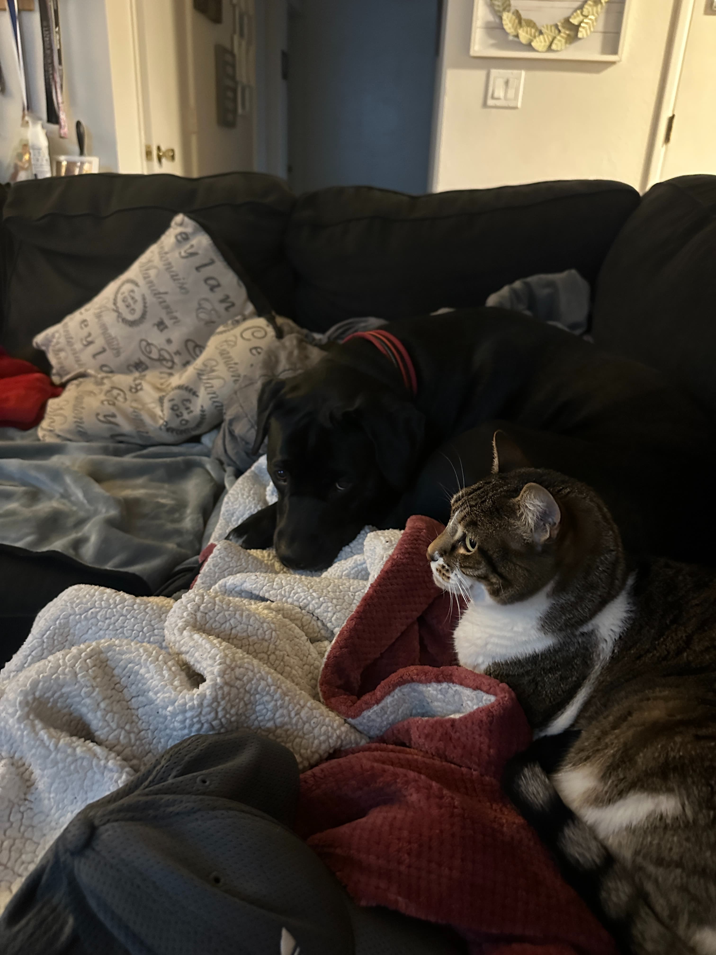 Mira Jane and Erza, part of the Hadley's Kitchen family.